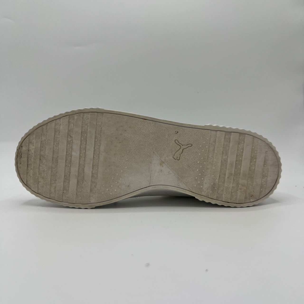 Puma Carina Summer Cat