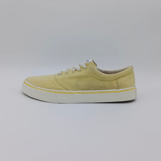 Toms Alpargata Fenix Lace Up